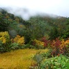 紅葉と霧の苗場山【百名山】祓川コース