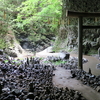 20230529宮崎県西臼杵郡高千穂町　天岩戸神社