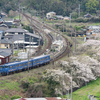 2024/04/05 長崎本線の青いキハ47を記録する