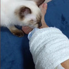 しげるちゃんの犠牲は忘れない