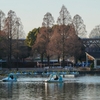 昭和記念公園の池群（東京都立川）