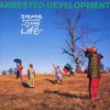 【今日の一曲】Arrested Development – Dawn Of The Dreads