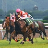 競馬初心者必見☆馬券予想🔥〜北九州記念〜秋のスプリント王者決定戦の前哨戦！！