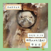 野鳥のみち・守谷沼（守谷市）｜巣穴に入るコゲラちゃんとカワセミペア【3月】
