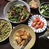 まだまだ夏真っ盛り