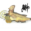 ハタハタ（鱩、雷魚）