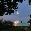 満月より少し欠けていますお月様、美しいです。