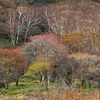 赤城山に行って来ました