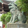 江名諏訪神社と狛犬たち、カジノキ