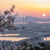 北九州市高塔山で桜と朝日を撮ってきた話
