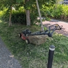 公園で芝刈り、バロネス