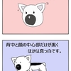 近所はモノトーン猫の縄張りです。