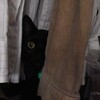 押入れ