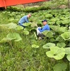 健康な体を作るには　曇り