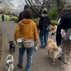 2025年4月7日🐾 今日のマヤ暦