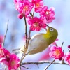 バリ島　今年の自分改造について