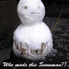 Mysterious Snowman