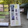 藤の花～奈良公園