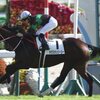 クラシック候補馬評価(牝馬)