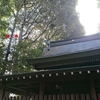 神社の木登り伐採①