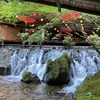 【京都 貴船 流しそうめん】スリル満点(⌒∇⌒)涼しい川床で楽しい流しそうめん体験♪「貴船 ひろ文」