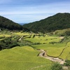 段々気になる！春日の棚田＆「福鶴」の福田酒造へ【大分佐賀長崎〜車で盆バ行ケ⑨】 
