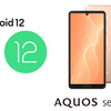 AQUOS sense4もAndroid 12へアップグレード