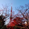 芝公園東京タワー直下,もみじ谷公園の紅葉