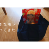 ローソン『3月のライオン』キャンペーンで買ってきたよ！