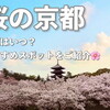 京都の桜｜見頃はいつ？名所や夜桜、オススメお花見スポットをご紹介