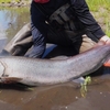 魚の釣れた感動や喜びは更新される。