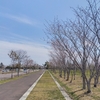 半年ぶりの30㎞走