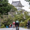 JBCFかすみがうらロードレース