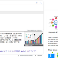 Seo 対策 ニャース Vivi 実績