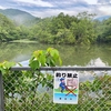 飯野新池（愛知県豊田）