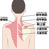 くび　　肩　症状