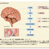 じじぃの「科学・地球_586_心の病の脳科学・精神疾患が治る時代」