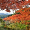 今日も又，紅葉狩り