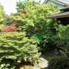 2017　5/7の拝観報告（東寺 観智院）