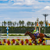 これで決まり！いざ今年最後の決戦へ！！有馬記念最終予想