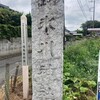 埼玉 四氷川神社巡り②