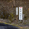 武田勝頼さんの逃避行ルートをぶらぶら