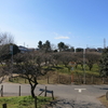 習志野　梅林園　その十一