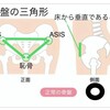 骨盤のニュートラル、前傾、後傾