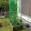 ミニトマト用　防鳥ネット完成です。