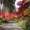 紅葉…神蔵寺