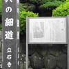 翠雨の山寺（宝珠山立石寺）