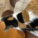 あっぺブログ