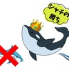 ホホジロザメの天敵！サメは〇〇に喰われて死ぬ　ホホジロザメ　人喰いサメ　サメ怖い　サメの天敵　危険生物　サメの生態　シャチ　ほ乳類　海の生き物　沖縄　離島　日本海　太平洋　宮古島　ハワイ　石垣島　離島　オーストラリア　グアム　カリブ海　モルディヴ
