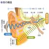 ≪マイクロ波聴覚妄想と他の「技術」妄想との共通項目≫